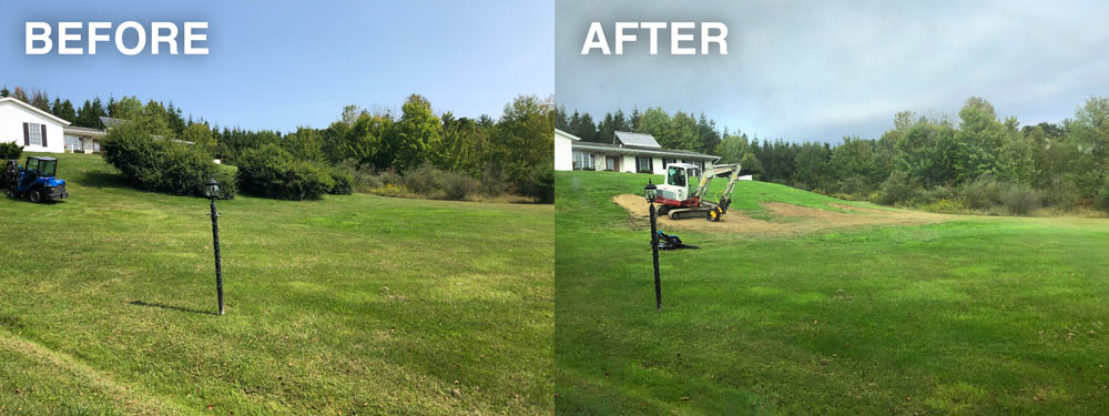 Tree Removal - Before and After